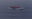 Menschen mit Rettungswesten mitten im Meer auf einem Schlauchboot
