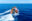 Ein Schnellboot von SOS Humanity fährt schnell über das blaue Mittelmeer.