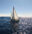 Segelschiff Humanity 2 auf dem Meer