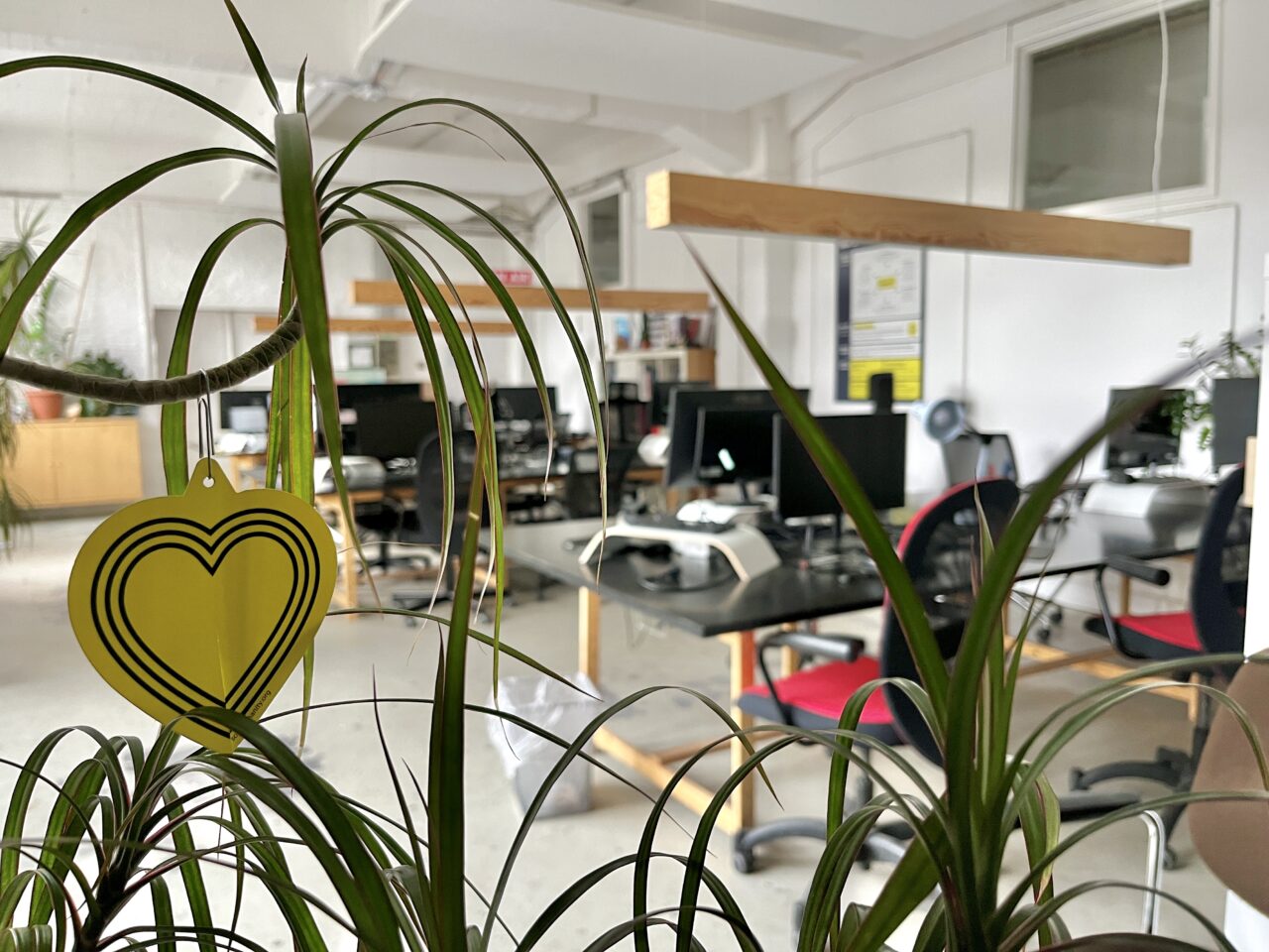 Office SOS Humanity Berlin